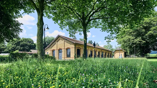 Wasserwerk Queckborn mit grüner Wiese und Bäumen im Vordergrund. Ein historisches Backsteingebäude, welches ein Wasserwerk ist. Es hat ein Satteldach und mehrere große Fenster mit schwarzen Gitterrahmen. Der Eingang hat zwei große graue Metalltüren. Im Vordergrund sind Bäume und ein gepflasterter Weg zu sehen, der zum Gebäude führt. Der Himmel ist blau mit einigen weißen Wolken, und die Umgebung ist grün und gepflegt.
