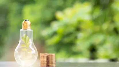 Energy saving. tree in light bulb and stacks of coins on nature background. Saving, Natural energy and financial concept.